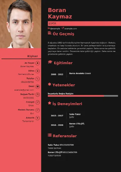 Şoför Örnek cv indir